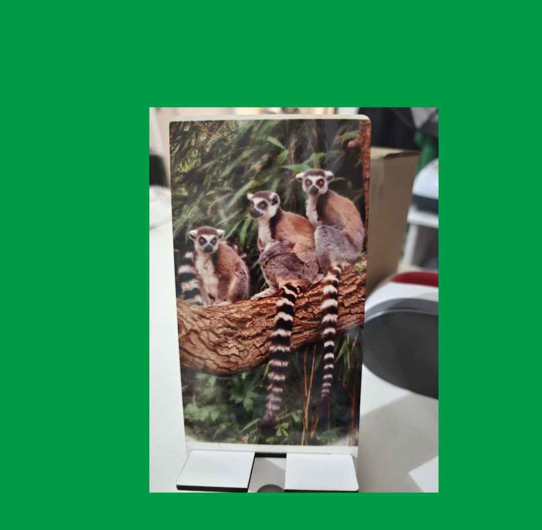 Support de téléphone portable ajustable et durable