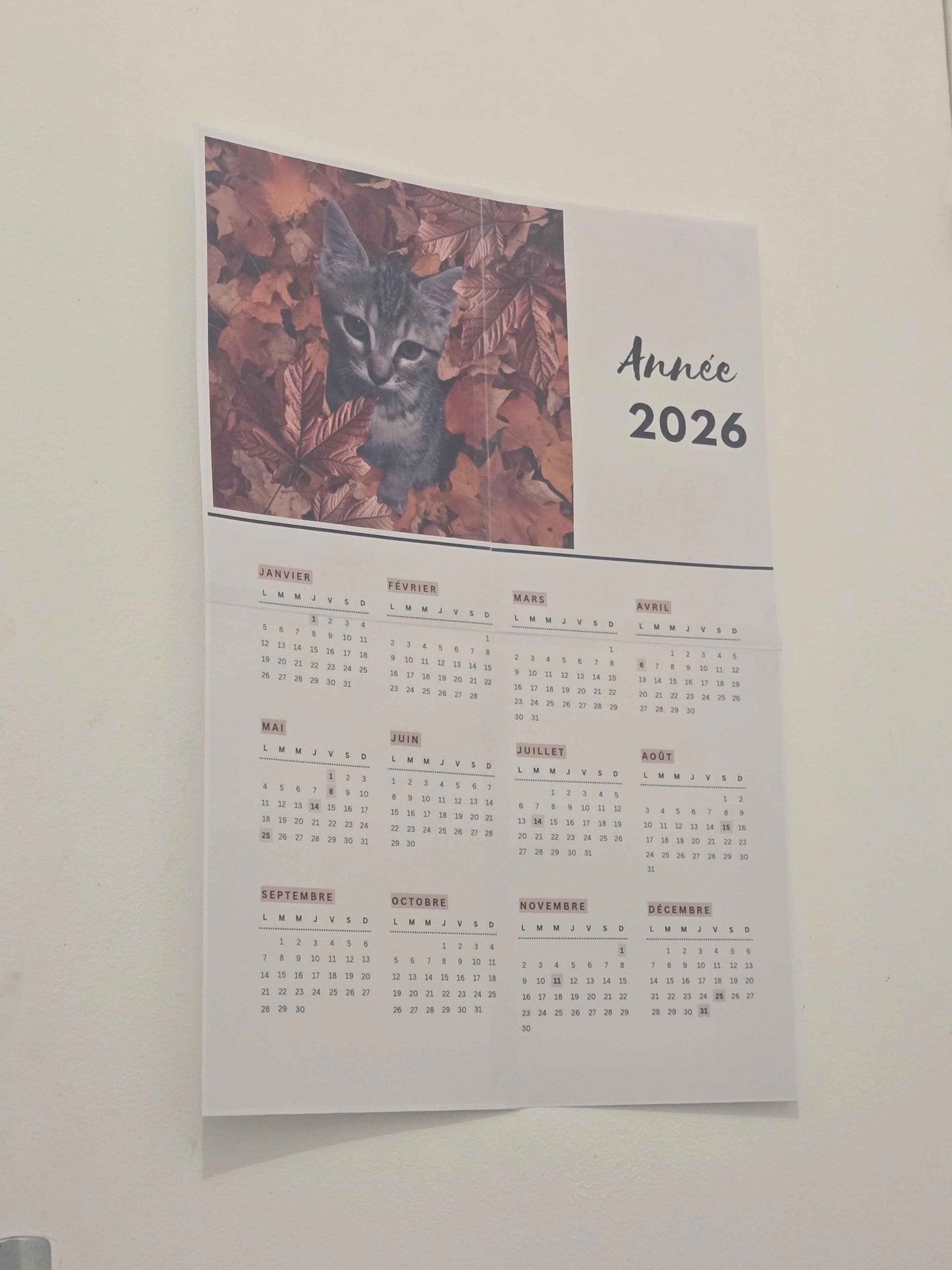 Calendrier personnalisé 2026 - Créez votre calendrier sur mesure