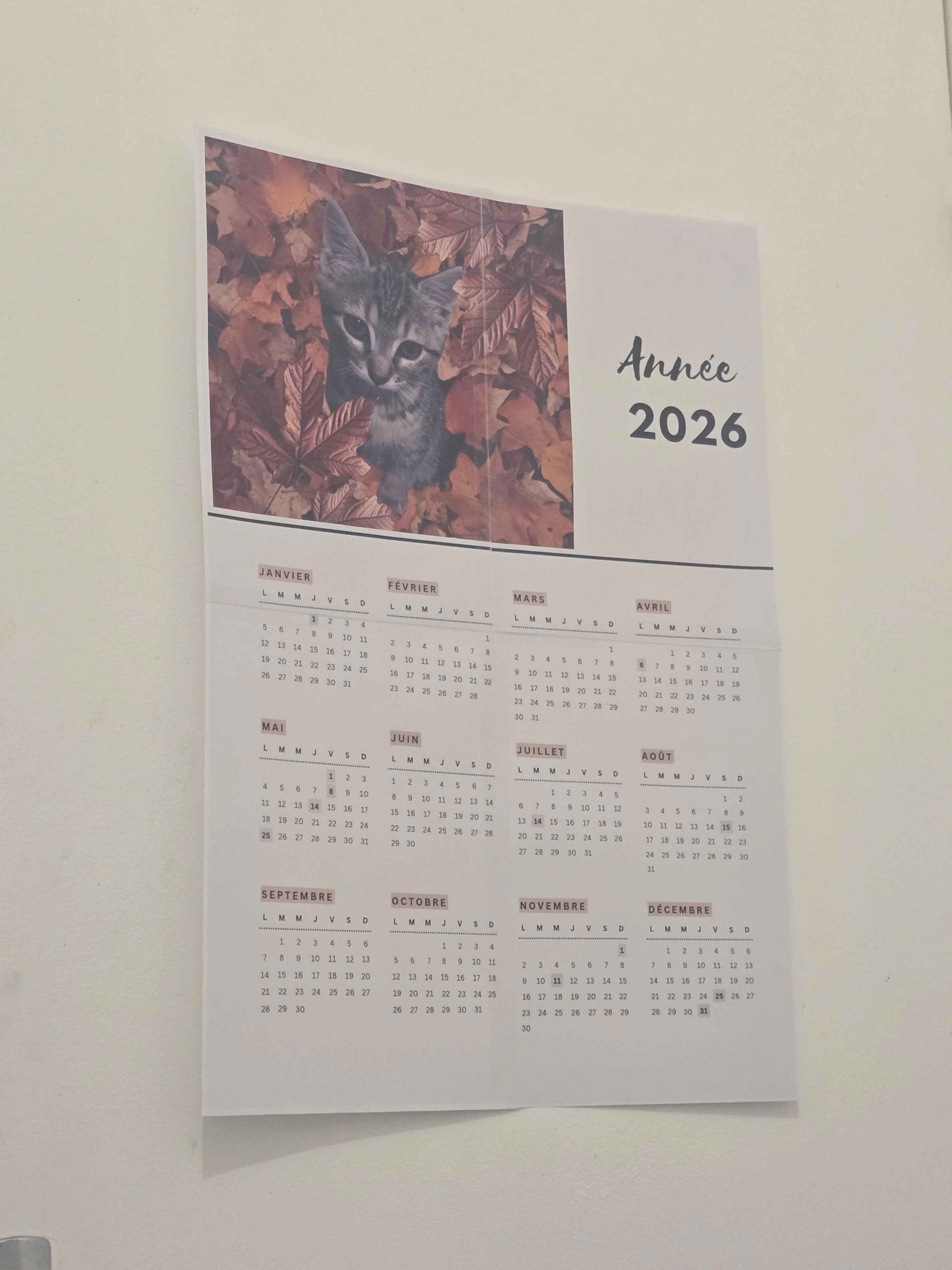 Calendrier personnalisé 2026 - Créez votre calendrier sur mesure